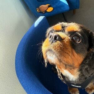 Meet your Posher, Kim